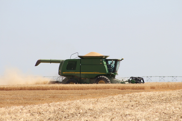 Wheat Harvest Print