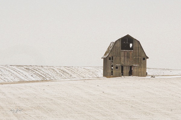 IMG 2289 by Leslie Affeldt Photography
