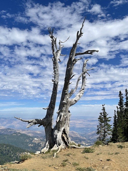 Wentachee Overlook - color by Leslie Affeldt Photography