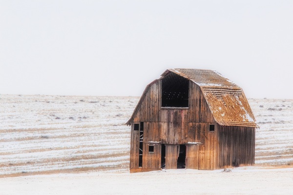 Still Standing by Leslie Affeldt Photography
