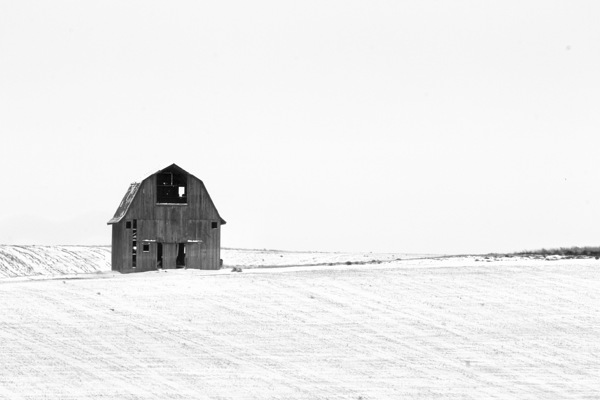 IMG 4099 by Leslie Affeldt Photography