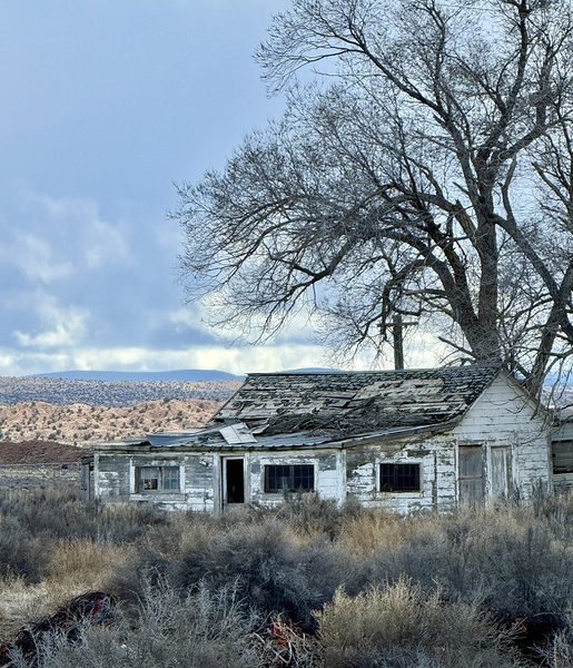 Farmhouse Decay - vertical by Leslie Affeldt Photography