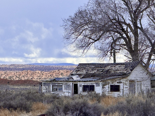 IMG 6444 by Leslie Affeldt Photography