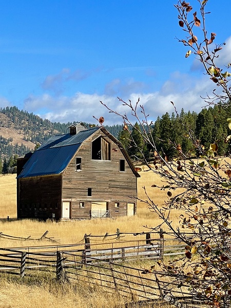 Barns / Farm