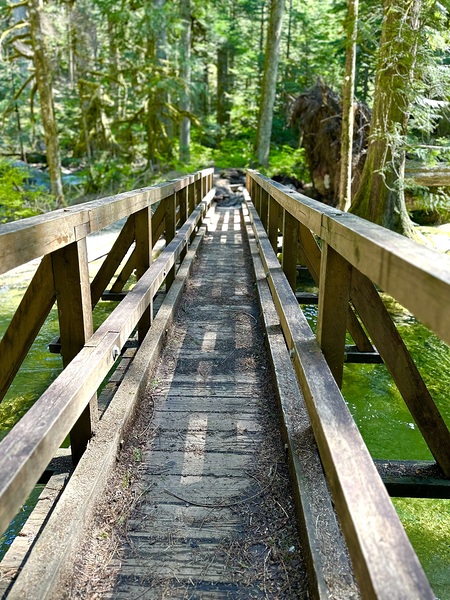 In To the Woods