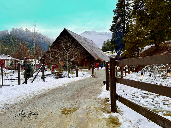 IMG 2223 by Leslie Affeldt Photography