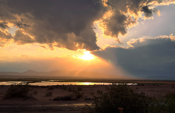 Beauty within the Storm