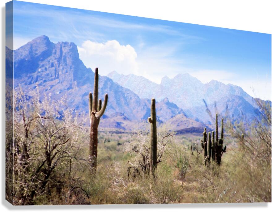 Blue Pastel Desert  Canvas Print