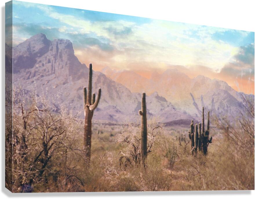 Pastel Desert  Canvas Print