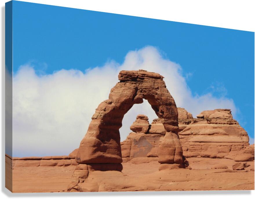 Delicate Arch Canvas Print