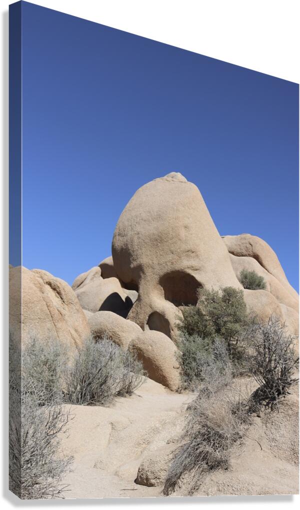Skull Rock Joshua Tree National Park  Canvas Print