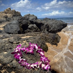 Live Aloha