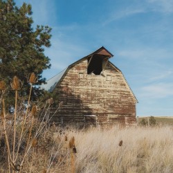Colfax Barn 3
