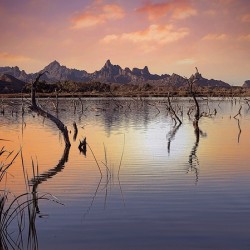 Catfish Paradise 