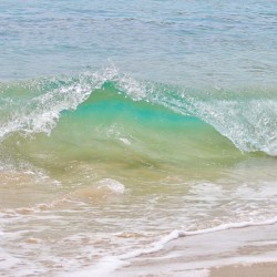 Wave Lanai