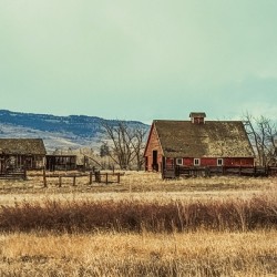 Rustic Farm Scene