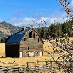 Dunford Barn 2