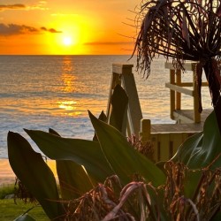 Beauty of Maui