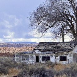 Farmhouse Decay - horizontal