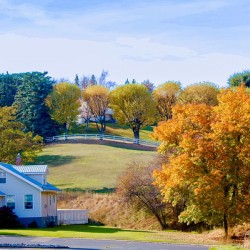 Autumn Estate