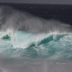 The Turquoise Wave
