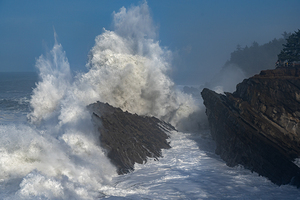 Shore Acres Exploding Wave BWS6840