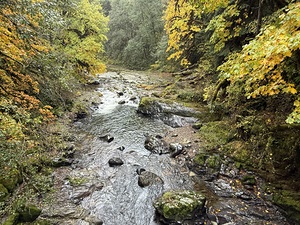 IMG 4686