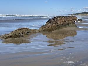 IMG 4779