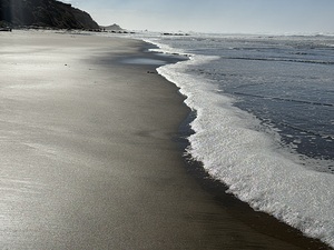 IMG 4780