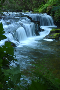 Sweet Creek Elk Hollow Falls Oregon2977