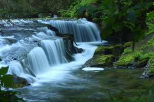 Sweet Creek Elk Hollow Falls Oregon 2987