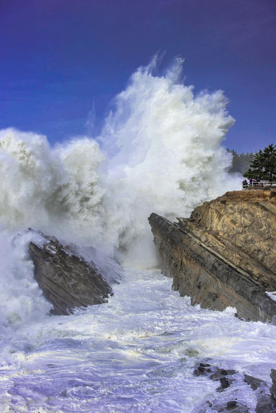 Oregon Coast Shore Acres BWS 1012 by Bruce W Smith