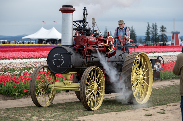 Steam Tractor Tulip Farm BWS 3943 by Bruce W Smith