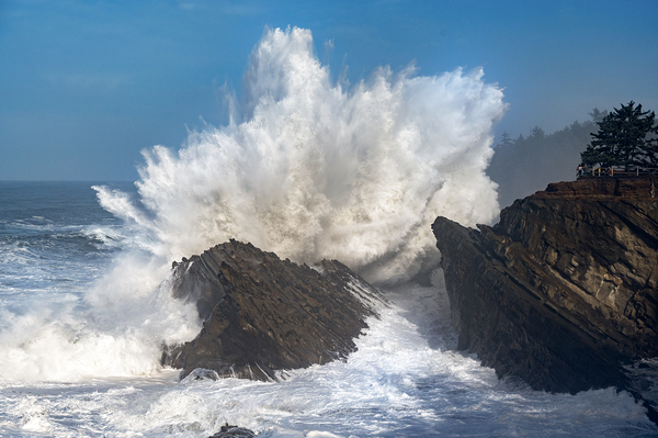 Shore Acres Crashing Wave Winter BWS6836 by Bruce W Smith