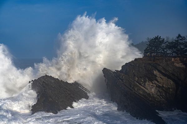 Shore Acres Morning Winter BWS6851 by Bruce W Smith