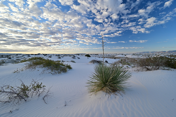 White Sands BWS 2591 by Bruce W Smith