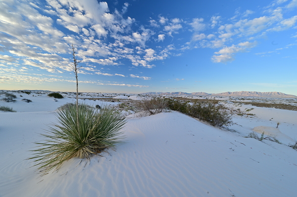 White Sands Morning Sunrise BWS 2594 by Bruce W Smith