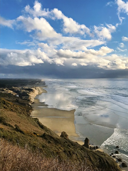 Heceta Beach Oregon Coast Vert IMG60741 by Bruce W Smith
