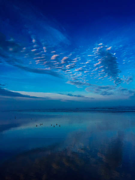 Oregon Coast Blue Sunset by Bruce W Smith