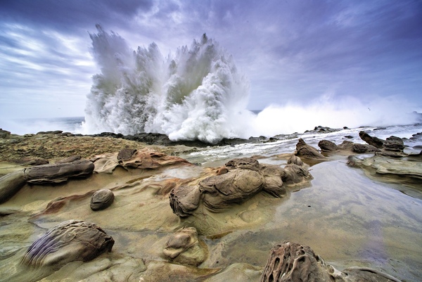 Shore Acres On The Rocks 08341 by Bruce W Smith