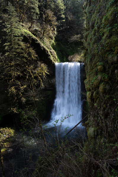 Silver Falls State Park Lower Falls BWS 0408 by Bruce W Smith