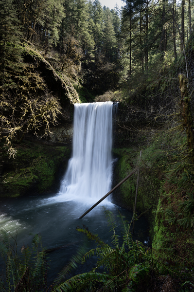 Silver Falls  Lower Falls BWS 0414 by Bruce W Smith