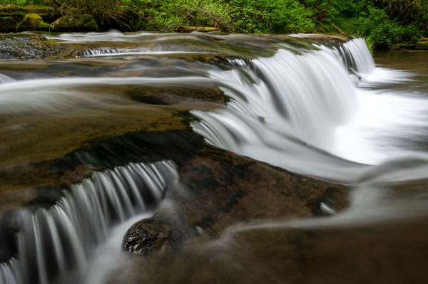 Sweet Creek Falls BWS 0621 by Bruce W Smith