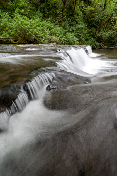 Sweet Creek BWS 0625 by Bruce W Smith