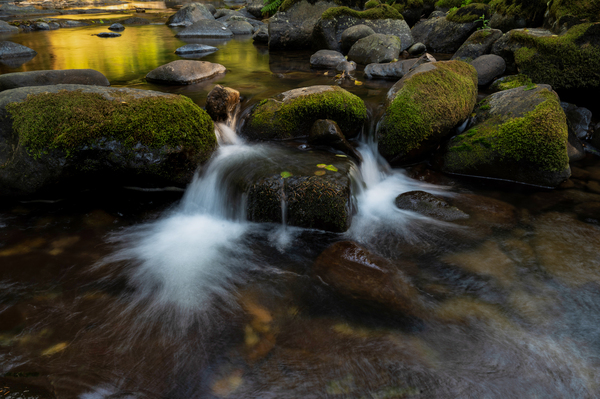 Sweet Fall Stream  BWS 2074  by Bruce W Smith
