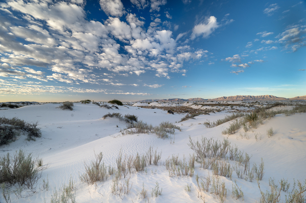 White Sands morning BWS 2587 by Bruce W Smith
