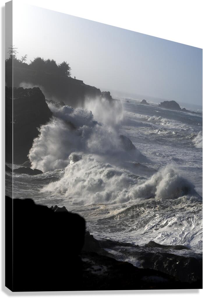 Edited BWS6907 Canvas Print