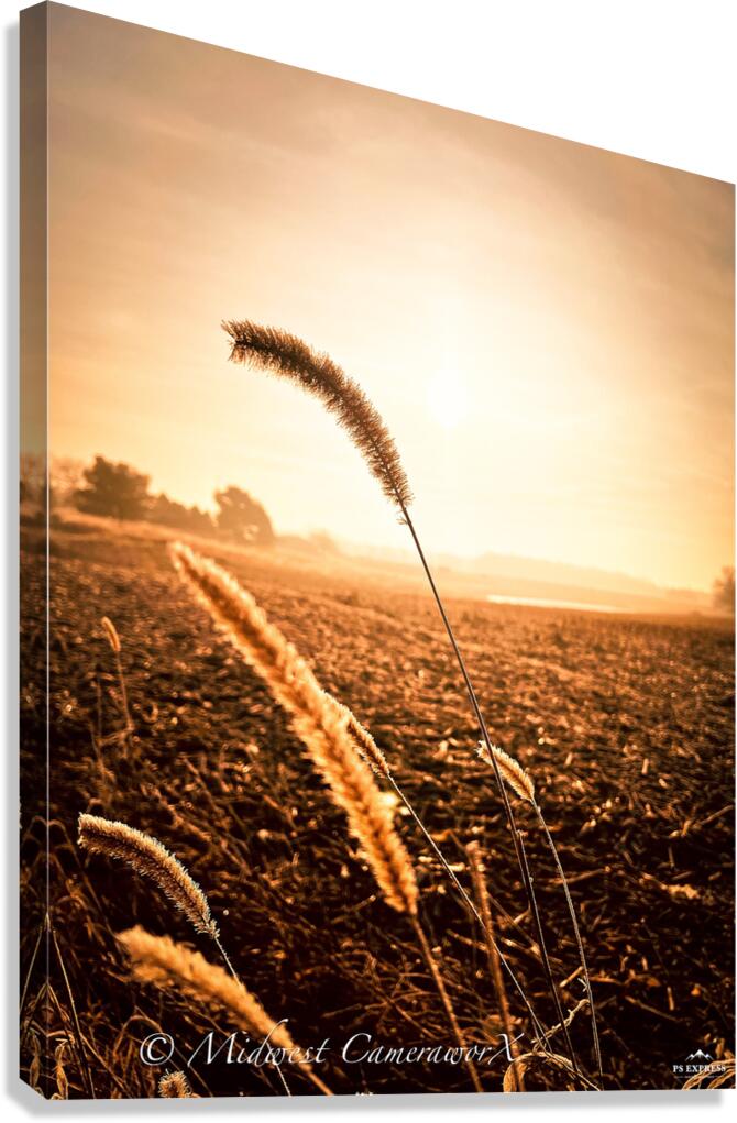Midwestern Summer  Canvas Print