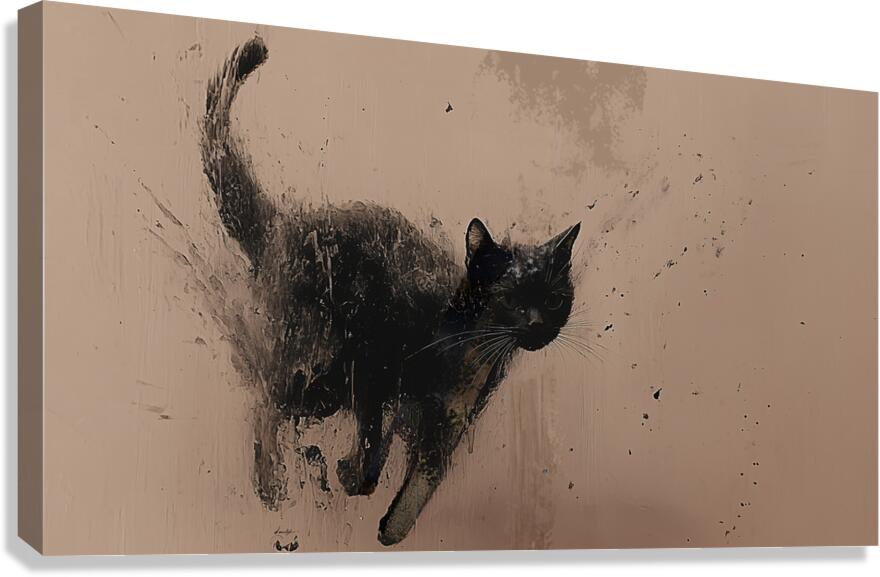 DM-RUN SIMON Canvas Print
