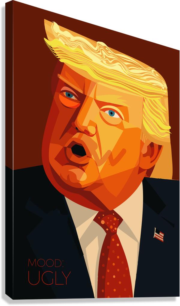 DM  Donald  Ugly Canvas Print
